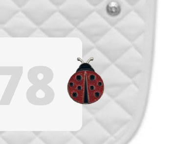 Ladybug Pins (Pair)