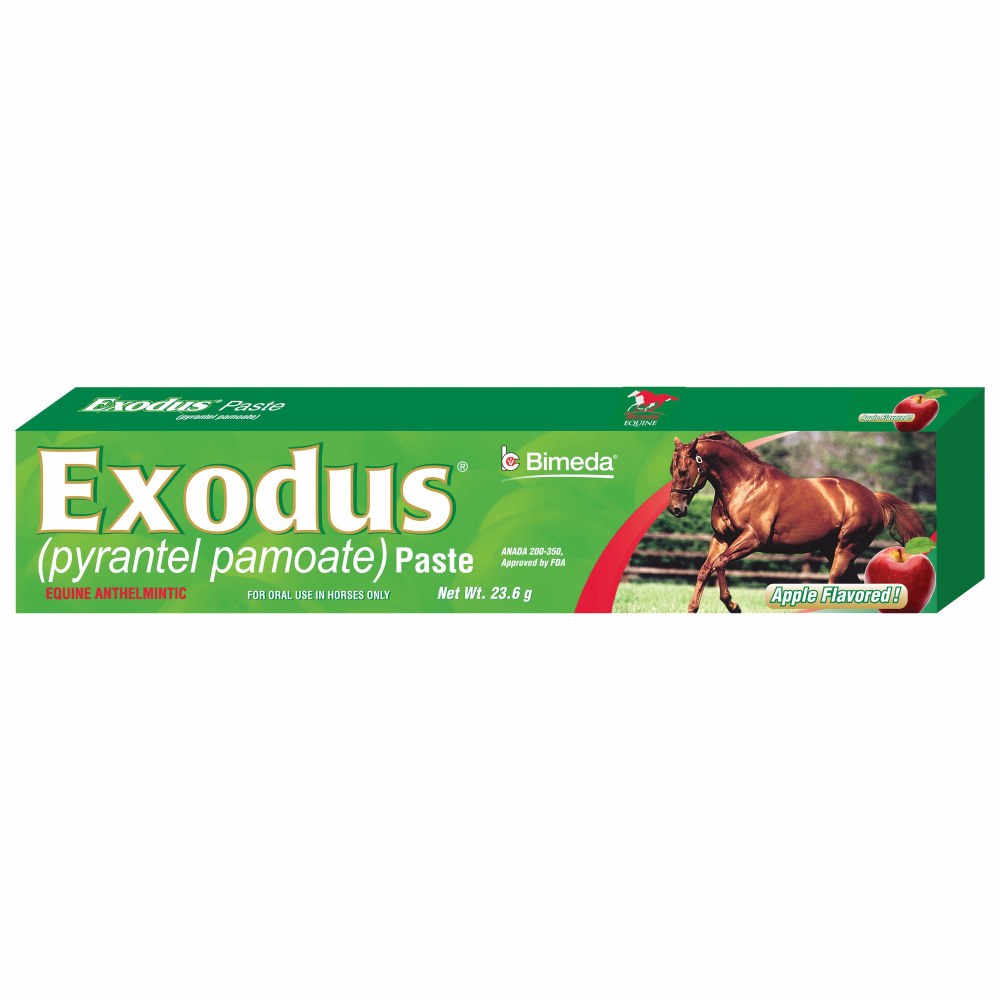 Pyrantel Paste - Equine Tack&Nutritionals