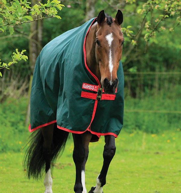 Rambo Turnout Light Equine Tack&Nutritionals