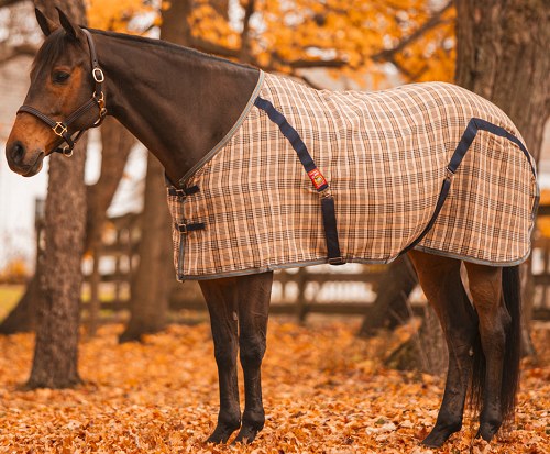 Size top 80 baker horse fly sheet