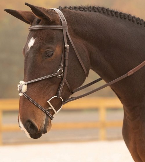 Weaver Leather 1 Track Stallion/Large Horse Halter