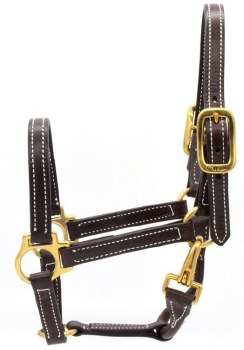 Leather Halter with Snap 3/4&quot; (Havana/ Oversize)