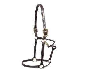 Leather Halter with Snap 3/4" (Havana/ Yearling/ Pony)