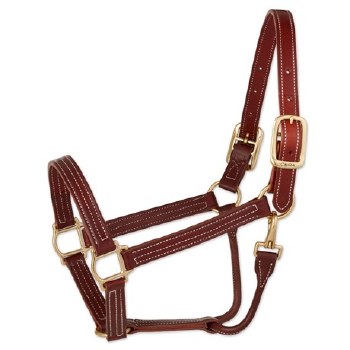 Leather Halter with Snap 1" (Chestnut/Horse)