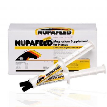 Nupafeed Oral Syringe (Box of 10)