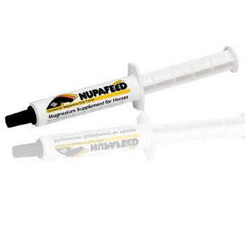Nupafeed Oral Syringe (Single)