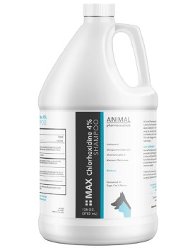 Max Chlorhexidine 4% Shampoo (Gallon)
