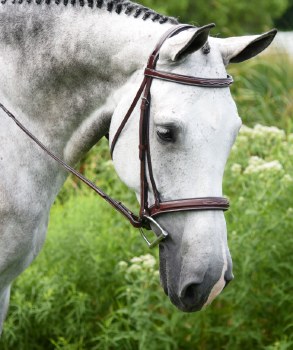 Middleburg Bridle (Cob)