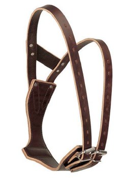 Miracle Collar (Medium)