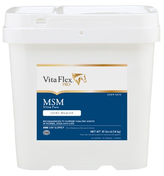 Vita Flex MSM (10 lb)