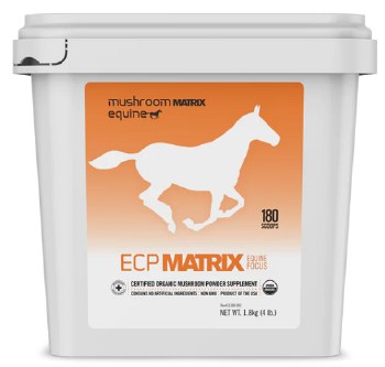 Mushroom Matrix Equine Focus