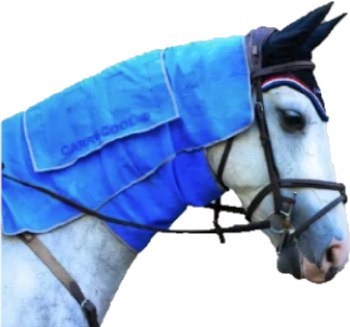 EquiSources Neck Cooler