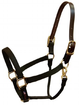 Walsh Nylon Breakaway Halter 1" (Black 8)