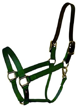 Walsh Nylon Breakaway Halter 1&quot; (Green - 7)