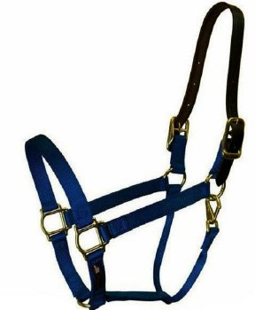 Walsh Nylon Breakaway Halter 3/4" (Navy - 4)