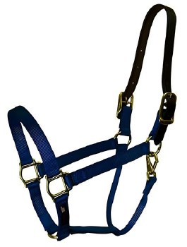 Walsh Nylon Breakaway Halter 3/4&quot; (Navy - 5)