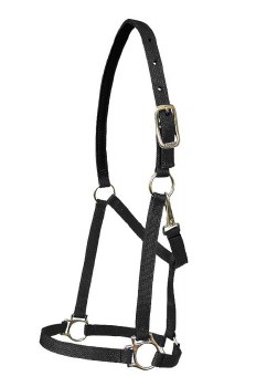 Nylon Halter with Snap 1" (Black/Horse)