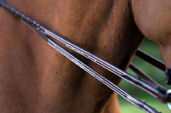 Fancy Stitched Plain Reins