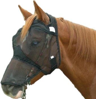 Quiet Ride Fly Mask Long Nose/ No Ears (Arab/Cob/Small Horse)