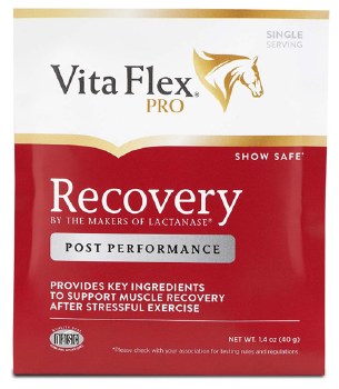Recovery by Vita Flex Pro (Single Packet)