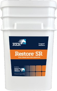 Restore SR (18 kg)