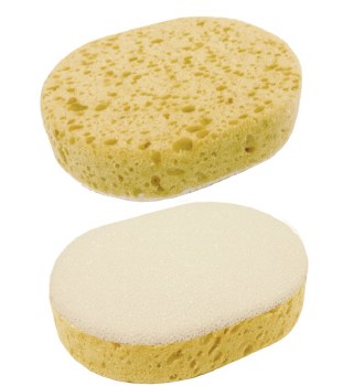 Scrub Sponge (Large)
