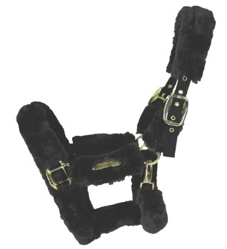 Kentucky Shipping Halter (Full/Black)