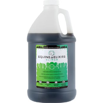 Slimer Gastric Support (60 Day)