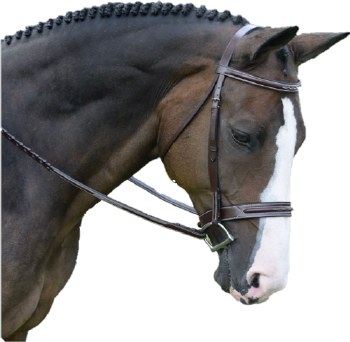 Red Barn Sonoma Bridle (Pony)