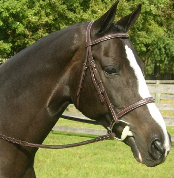 Red Barn Sovereign Bridle (Pony)