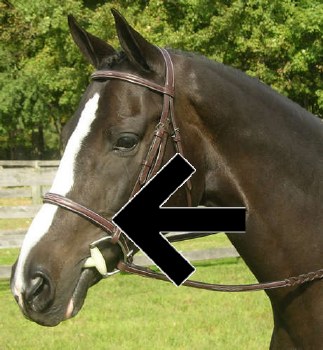 Sovereign Noseband (Oversize)