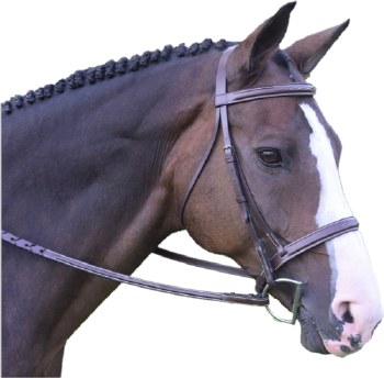 Black Oak Spruce Bridle (Cob)