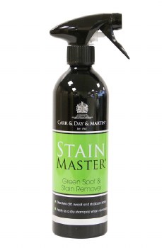 Stain Master Green Spot and Stain Remover (16 oz)