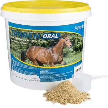 Tandem Oral
