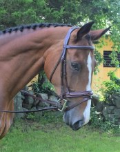 Italia Millbrook Bridle