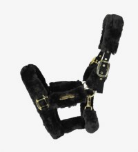 Kentucky Shipping Halter (Pony/Black)
