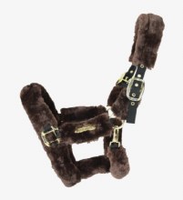 Kentucky Shipping Halter (Cob/Brown)