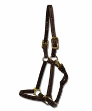 Leather Halter with Snap 3/4"