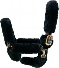 Walsh Black Shipping Halter (Black/Brass - Horse)
