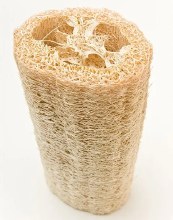 Loofa Sponge