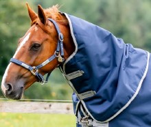 Amigo Bravo 12 Original Hood (150g Light) (Large)