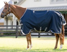 Amigo 1200D Turnout 250g (69")