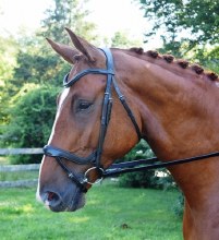 Red Barn Arena Ergonomic Bridle Padded BLACK w/ Flash