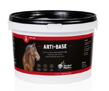 Arti-Base (1 kg)