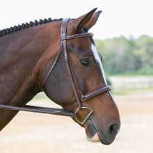 Black Oak Aster Bridle (Pony)
