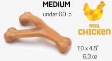 Benebone Medium Wishbone (Chicken)
