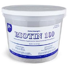 Extra Strength Biotin 100