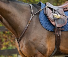 Dy'on Bridge Breastplate (Cob/Brass)