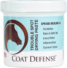 Coat Defense Paste (24oz)