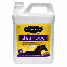 Corona Concentrated Shampoo